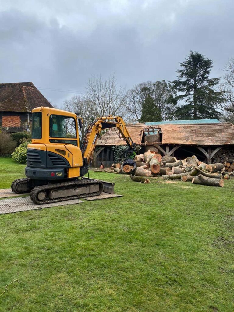 This is a photo of a wood area which is having multiple trees removed. The trees have been cut up into logs and are stacked in a row. Hucknall Tree Surgeons