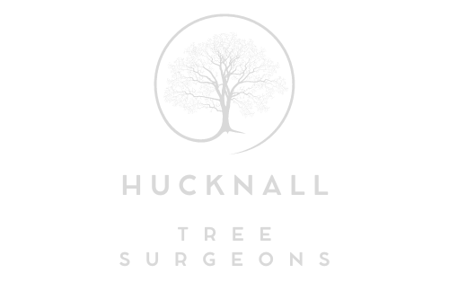 Hucknall Tree Surgeons