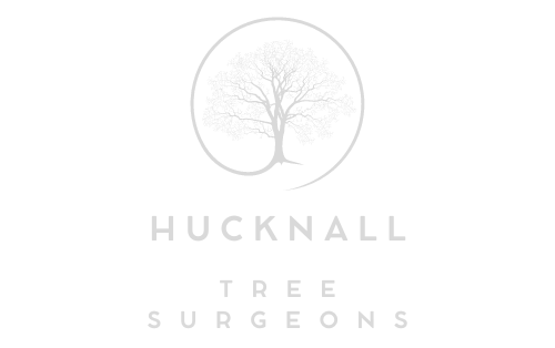 Hucknall Tree Surgeons